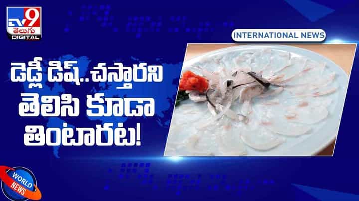 Dangerous Dish: ప్రపంచంలోనే ప్రాణాంతకమైన వంటకం ఇదే !! చస్తారని తెలిసినా తింటారట !! వీడియో Dangerous Dish: ప్రపంచంలోనే ప్రాణాంతకమైన వంటకం ఇదే !! చస్తారని తెలిసినా తింటారట !! వీడియో