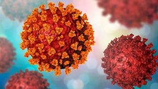 Pralay Missile Test: భారత అమ్ముల పొదిలో మరో అద్భుత అస్త్రం.. ప్రళయ్‌ను మరోసారి పరీక్షించిన DRDO