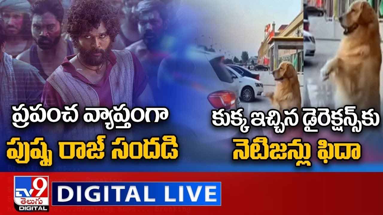 Digital News Round Up: పుష్ప రాజ్ సందడి | కుక్క ఇచ్చిన డైరెక్షన్స్కు నెటిజన్లు ఫిదా.. లైవ్ వీడియో Digital News Round Up: పుష్ప రాజ్ సందడి | కుక్క ఇచ్చిన డైరెక్షన్స్కు నెటిజన్లు ఫిదా.. లైవ్ వీడియో