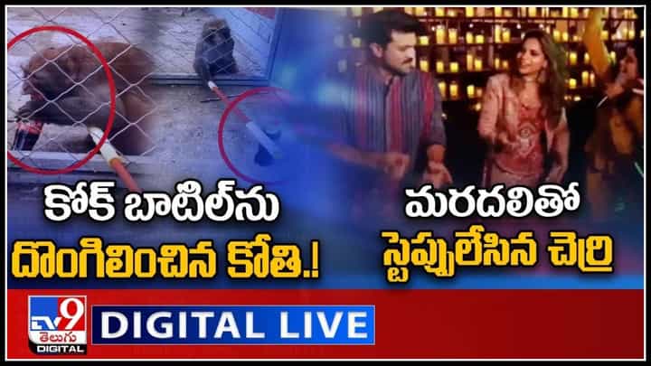 TV9 Digital News Round Up video: మరదలితో స్టెప్పులేసిన చెర్రి | కోక్ బాటిల్ను దొంగిలించిన కోతి.!(వీడియో) TV9 Digital News Round Up video: మరదలితో స్టెప్పులేసిన చెర్రి | కోక్ బాటిల్ను దొంగిలించిన కోతి.!(వీడియో)