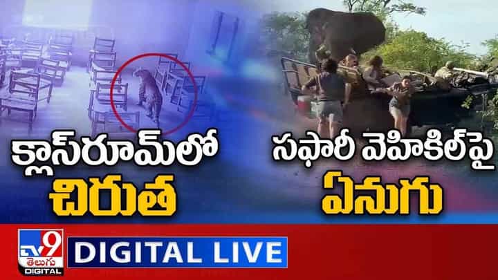 Digital News Round Up: క్లాస్రూమ్లో చిరుత | సఫారీ వెహికిల్పై ఏనుగు లైవ్ వీడియో Digital News Round Up: క్లాస్రూమ్లో చిరుత | సఫారీ వెహికిల్పై ఏనుగు లైవ్ వీడియో