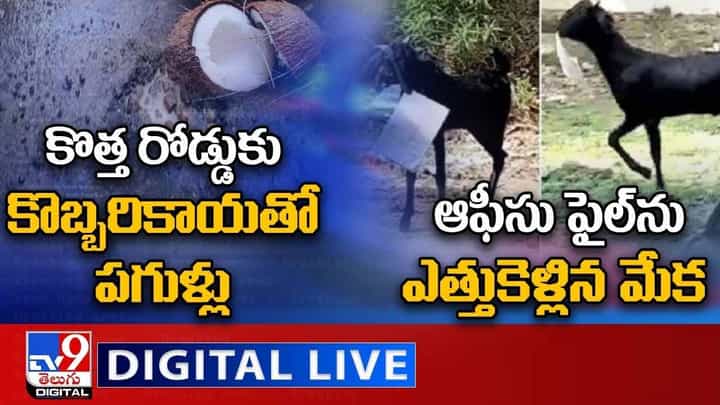 Digital News Round Up: కొత్త రోడ్డుకు కొబ్బరికాయతో పగుళ్లు | ఆఫీసు ఫైల్ను ఎత్తుకెళ్లిన మేక.. వీడియో Digital News Round Up: కొత్త రోడ్డుకు కొబ్బరికాయతో పగుళ్లు | ఆఫీసు ఫైల్ను ఎత్తుకెళ్లిన మేక.. వీడియో