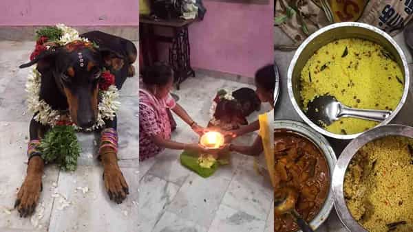 Shower Ceremony Dog: మంగళహారతులు, విందు భోజనాలతో ఇల్లంతా సందడి.. అసలు విషయం తెలిసి అవాక్కైన ఆహ్వానితులు..!