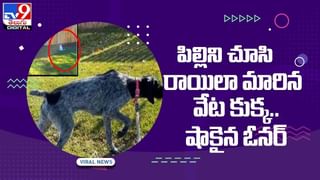 Viral Video: భోజనం చేస్తున్నప్పుడు మాస్క్‌ ఎందుకు పెట్టుకోలేదని వృద్ధుడిని చితక బాదిన మహిళ.. నెట్టింట్లో వైరల్‌గా మారిన వీడియో..