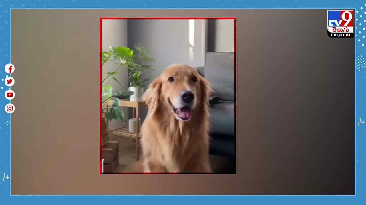 Viral Video కారు పార్కింగ్ చేస్తుంటే.. కుక్క ఇచ్చిన డైరెక్షన్స్‌కు