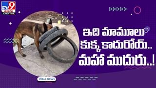 Viral Video: ఏం ఎంజాయ్ చేస్తున్నార్రా బాబు.. లైఫ్‌ అంటే ఇలా ఉండాలి.. ఈ వీడియో చూస్తే మీరూ ఒప్పుకుంటారు..