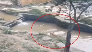 Viral video: మ్యూజిక్‌ షూట్‌లో చేదు అనుభవం.. సింగర్‌ ముఖంపై కాటేసిన పాము.. నెట్టింట్లో వైరలవుతోన్న వీడియో..