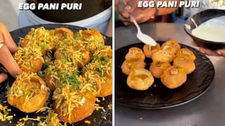 Viral video: సోషల్ మీడియాను షేక్ చేస్తున్న గున్న ఏనుగుల కుమ్ములాట.. వీడియో చూస్తే మీరు కూడా అదే అంటారు..