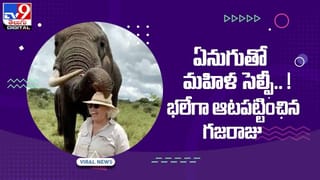 Viral Video: షేక్‌ చేస్తున్న ఎలన్‌ మస్క్‌ జిరాక్స్‌.. వీడియో