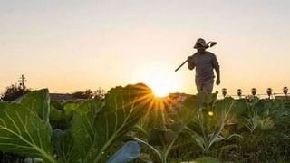 Omicron:   ఒమిక్రాన్ కేసులు పెరుగుతున్న రాష్ట్రాలకు  ప్రత్యేక బృందాలు.. ఉన్నత స్థాయి సమావేశంలో ప్రధాని మోడీ..