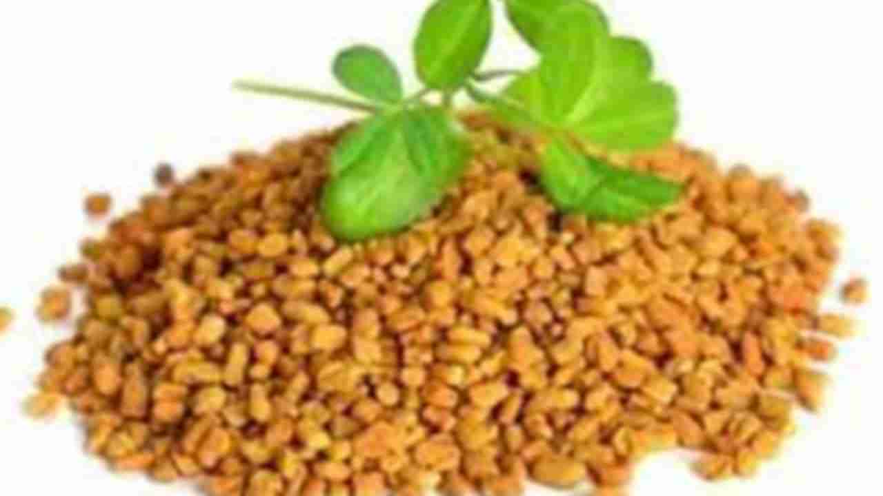 Fenugreek water: మన వంటింటిలో ఎక్కువగా కనిపించే మెంతులు.. మన వంటికి చేసే మేలు తెలుసా?