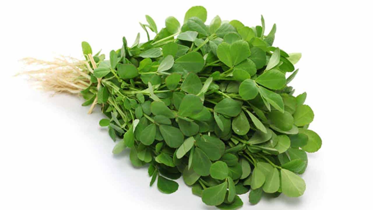 Fenugreek Leaves మెంతి ఆకులతో ఈ వ్యాధులకు చెక్ పెట్టొచ్చు.. ప్రయోజనాలు