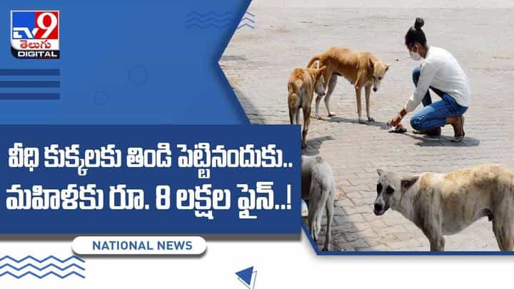 వీధి కుక్కలకు తిండి పెట్టినందుకు మహిళకు రూ. 8 లక్షల ఫైన్ !! వీడియో వీధి కుక్కలకు తిండి పెట్టినందుకు మహిళకు రూ. 8 లక్షల ఫైన్ !! వీడియో