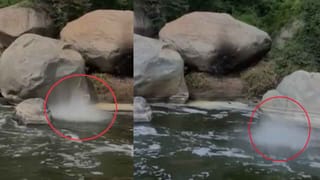 Ratan Tata Birthday: ఒక చిన్న కప్‌ కేక్‌.. రెండు క్యాండిల్స్.. నెట్టింట్లో వైరలవుతోన్న రతన్‌ టాటా బర్త్‌ డే సెలబ్రేషన్స్‌ వీడియో..