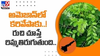 Viral Video: అక్కడ అట్టహాసంగా కోతుల పండగ !! వేరీ వేరీ స్పెషల్‌ !! వీడియో