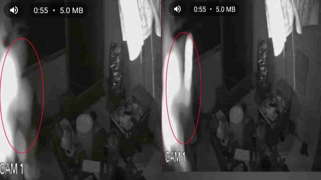 Ghosts: తూర్పుగోదావరి జిల్లాలో జంట దెయ్యాల హల్చల్.. వైరల్ అవుతున్న సీసీటీవీ పుటేజీ..!