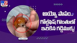 Viral Video: పాపం! వరుడ్ని చెడుగుడు ఆడుకున్న స్నేహితులు.. వీడియో చూస్తే కడపుబ్బా నవ్వుతారు!