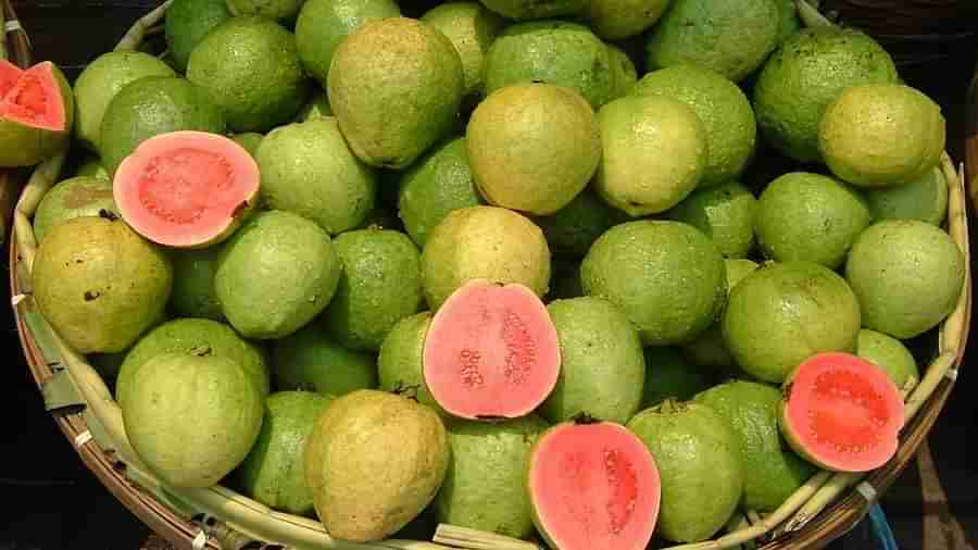 Guava: జామకాయతో నిండు యవ్వనం..! ఈ విషయాలు తెలిస్తే ఆశ్చర్యపోతారు..