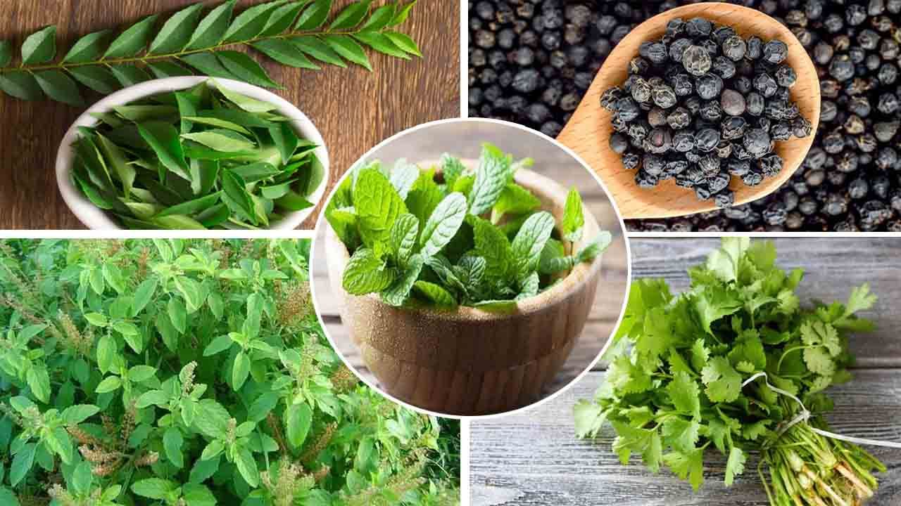 Health Benefits: మీ వంటింట్లో ఉండే ఈ వస్తువులతో ఎన్నో అద్భుతమైన ఉపయోగాలు..!