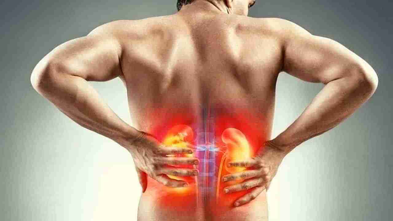 Pain-Urinating: మూత్ర విసర్జన చేసేటప్పుడు నొప్పిగా ఉందా? అయితే, ఇది ఆ వ్యాధి లక్షణమే.. తస్మాత్ జాగ్రత్త..!