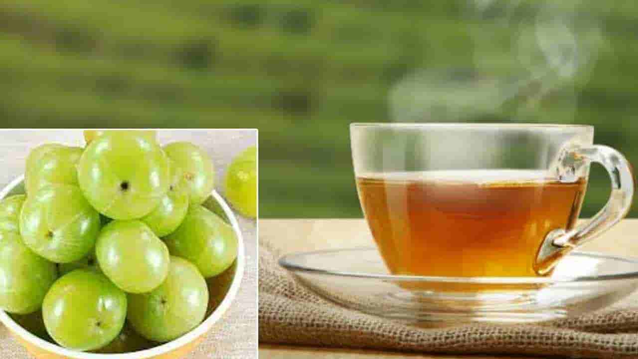 Skin Care: శీతాకాలంలో చర్మ సమస్యలతో బాధపడుతున్నారా.. అయితే ఈ డ్రింక్స్‌తో చెక్ పెట్టండి..