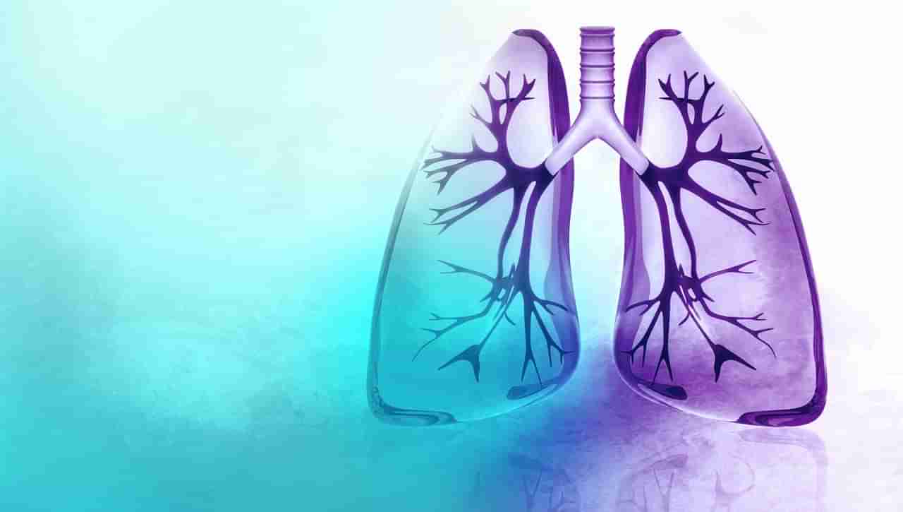 Lungs: ఊపిరితిత్తుల ఆరోగ్యంగా కోసం ఈ ఆహారాలు తప్పనిసరి.. కచ్చితంగా డైట్‌లో ఉండాల్సిందే..