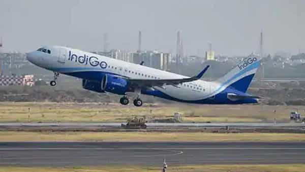 Indigo Bumper Offer: విమాన ప్రయాణం చేసేవారికి ఇండిగో ఎయిర్లైన్ బంపర్ ఆఫర్.. అతి తక్కువ ధరకే విమాన టికెట్