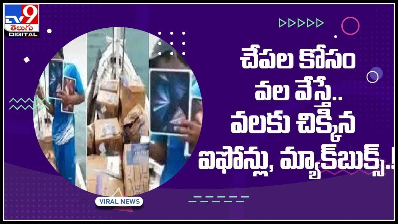 I Phones Mac Books: చేపల కోసం వల వేస్తే.. వలకు చిక్కిన ఐఫోన్లు, మ్యాక్‌బుక్స్‌..!(వీడియో)