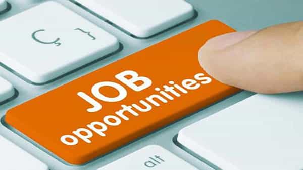 Bank Of Baroda Jobs: బ్యాంక్ ఆఫ్ బరోడాలో 52 ఉద్యోగాలకు నోటిఫికేషన్.. దరఖాస్తు గడువు ఎప్పటి వరకు అంటే..