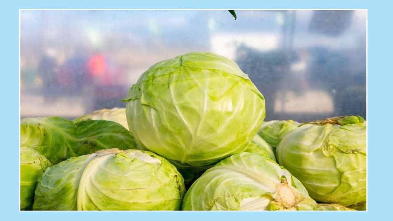 Cabbage: క్యాబేజీ కర్రీ చేస్తున్నప్పుడు ఈ పొరపాటు చేయకండి.. ఇది ఆరోగ్యానికి ప్రమాదకరం..