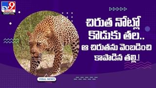 TV9 Digital TOP 9 NEWS: అంగారక గ్రహంపై మిర్చి పంట !! కోక్ దొంగతనం చేసిన కోతి !! మరిన్ని వైరల్ న్యూస్ మీకోసమే