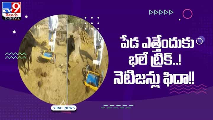 ఆవులు, గేదెల పేడ ఎత్తేందుకు సులువైన పద్ధతి !! వినూత్న యత్నం చేసిన వ్యక్తిపై నెటిజన్ల ప్రశంసలు !! వీడియో ఆవులు, గేదెల పేడ ఎత్తేందుకు సులువైన పద్ధతి !! వినూత్న యత్నం చేసిన వ్యక్తిపై నెటిజన్ల ప్రశంసలు !! వీడియో
