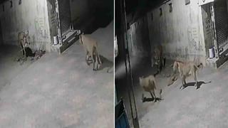 షాకింగ్ ఘటన.. కరోనా వ్యాక్సిన్ తీసుకోమన్నందుకు.. ఏకంగా పోలీసు అధికారి చేయి విరగ్గొట్టాడు..