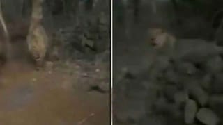 Corruption in Collectorate: కలెక్టర్‌ ఆఫీస్‌‌లో నోట్ల కట్టలు.. ఊహించని షాక్ ఇచ్చిన ప్రభుత్వం.. పూర్తి వివరాలివే..!