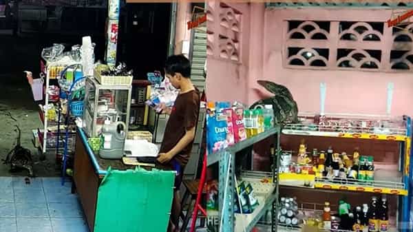 Viral Video: షాపింగ్కు వచ్చిన వింత అతిథి.. బిత్తరపోయిన యజమాని.. ఏం చేసిందో తెలుసా?