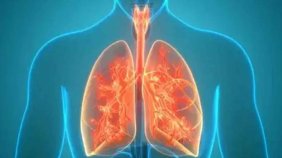 Lungs Health: చాలా కాలంగా జలుబు, దగ్గుతో బాధపడుతున్నారా?.. అయితే, వెంటనే ఈ విషయాలు తెలుసుకోండి..!