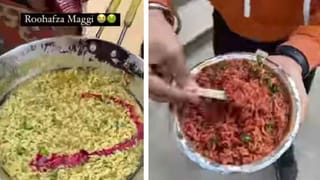 Viral Video: గేటు దూకి పెంపుడు కుక్కను నోటకరుచుకుని ఎత్తుకెళ్లిన చిరుత‌.. చూస్తే వణుకు పుట్టాల్సిందే!