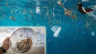 Fossils of Dinosaur Egg: అరుదైన డైనోసార్ గుడ్డు శిలాజం.. ఏడు కోట్ల ఏళ్లయినా.. చెక్కుచెదరని రూపం..