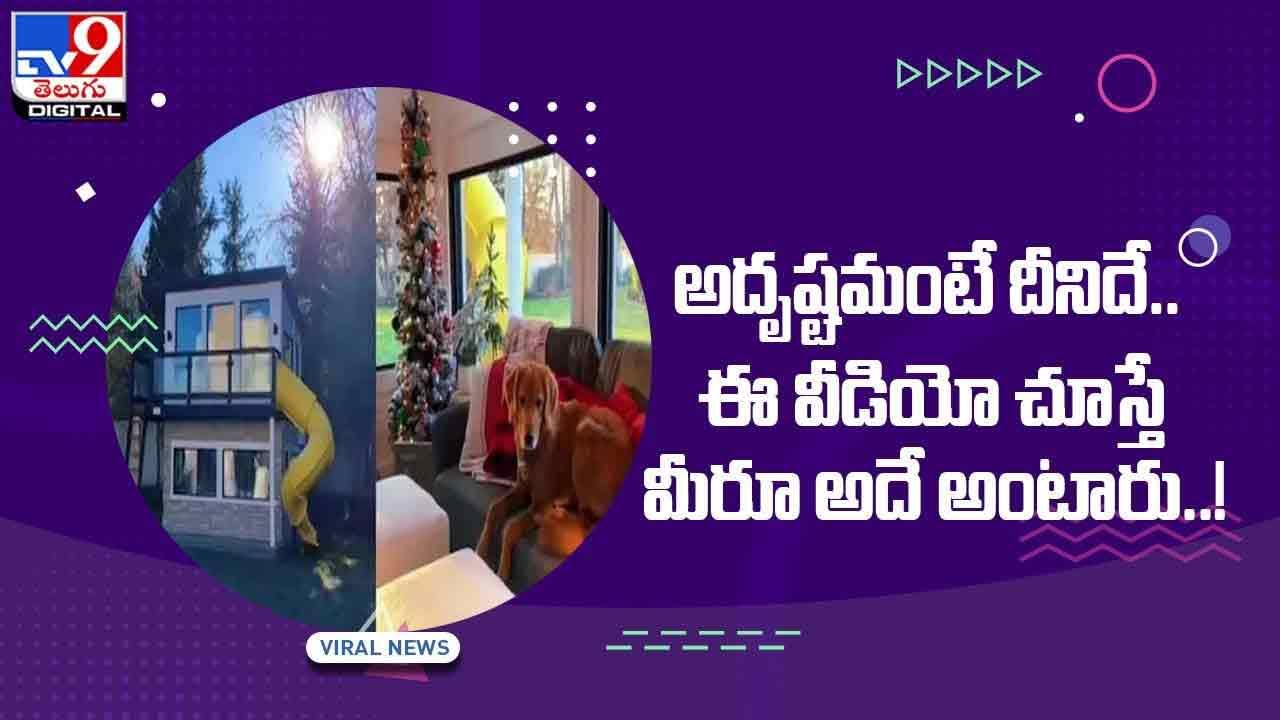 Viral Video: అదృష్టమంటే ఈ కుక్కదే !! ఈ వీడియో చూస్తే మీరూ అదే అంటారు.. వీడియో