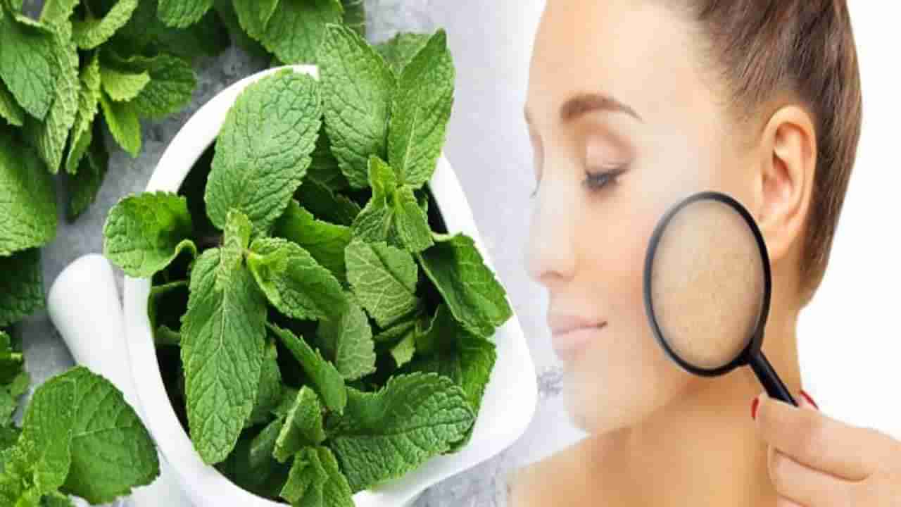 Skin Care Tips: పుదీనాతో చర్మ సమస్యలను ఇలా తగ్గించుకోవచ్చు.. ఫేస్ ప్యాక్, స్క్రబ్ ఎలా తయారుచేయాలంటే..