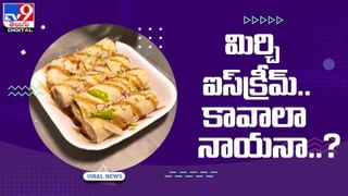 Viral Video: వేటకు వచ్చిన పిల్లికి !! చుక్కలు చూపించిన కోడిపుంజు !! వీడియో