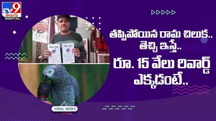 Viral Video: తప్పిపోయిన రామ చిలుక తెచ్చి ఇస్తే రూ. 15 వేలు రివార్డ్ !! ఎక్కడంటే ?? వీడియో Viral Video: తప్పిపోయిన రామ చిలుక తెచ్చి ఇస్తే రూ. 15 వేలు రివార్డ్ !! ఎక్కడంటే ?? వీడియో