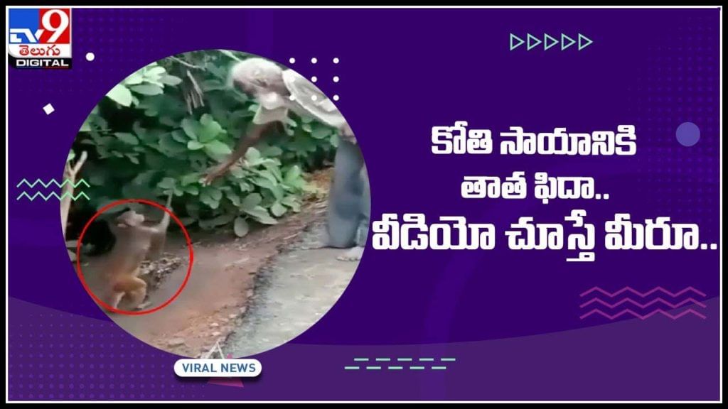Monkey Viral Video: తాతకు సాయం చేసిన కోతి.. వీడియో చూసి ఫిదా అవుతున్న నెటిజన్స్..