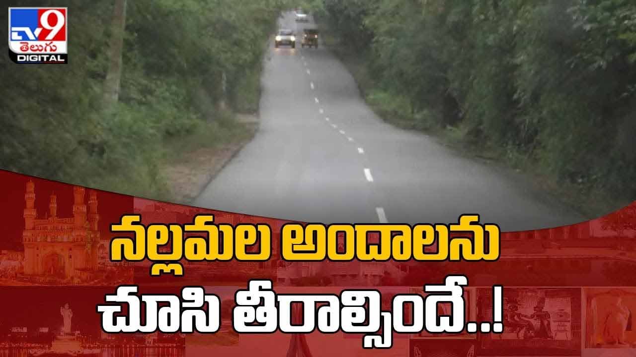 Nallamala Forest: నల్లమల అందాలను చూసి తీరాల్సిందే !! వీడియో