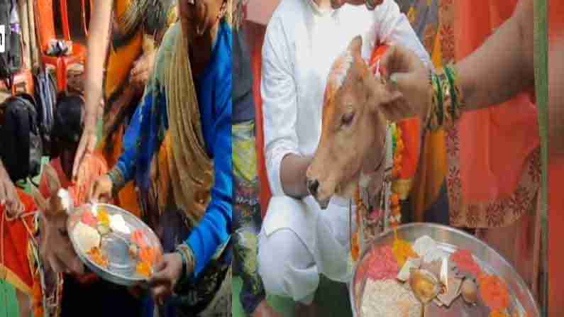 Calf Naming Ceremony: వేదపండితుల సమక్షంలో.. వైభవంగా లేగదూడకు నామకరణం