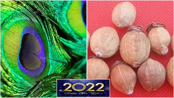 New Year 2022 Vastu Tips: ఈ కొత్త సంవత్సరాన్ని ఇలా ఆహ్వానించండి.. ఇలా చేస్తే లక్ మీ వెంటే..