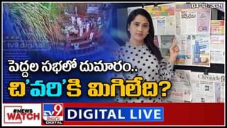 Black Cat: గృహ ప్రవేశం రోజు నల్ల పిల్లి వస్తే అదృష్టం కలిసివస్తుందట.. ఎక్కడో తెలుసా..