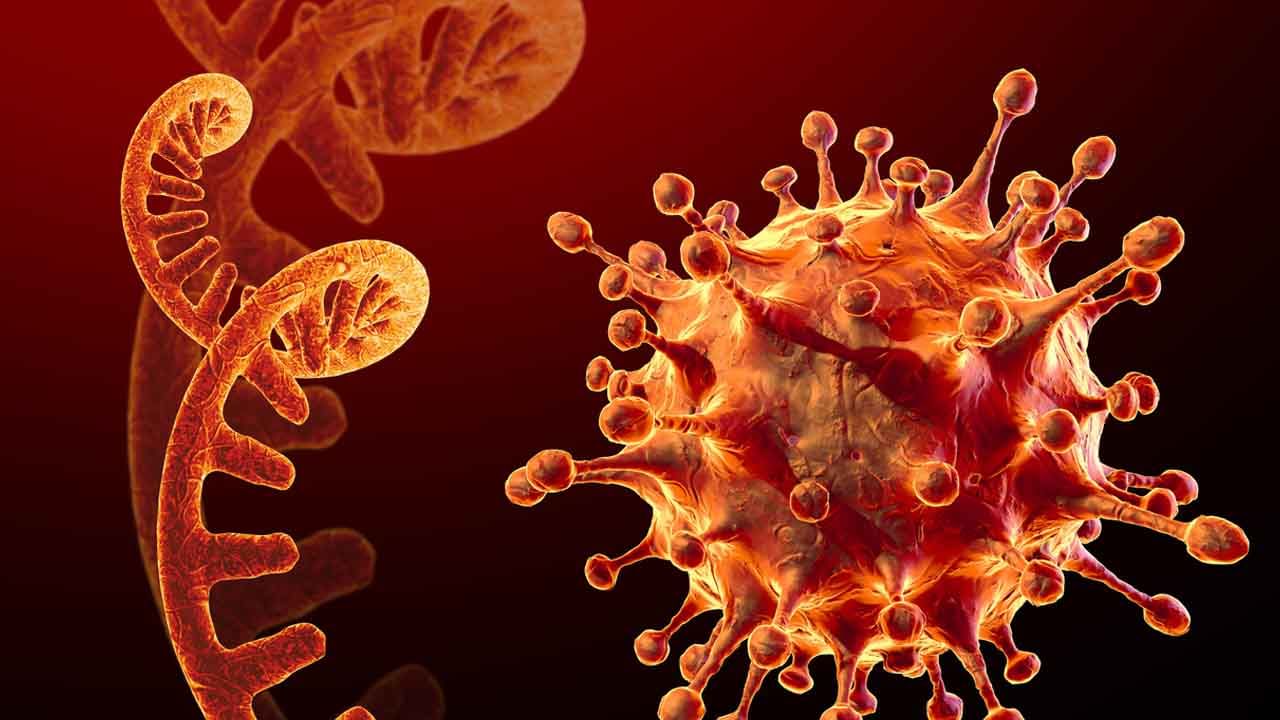 Hybrid Immunity: హైబ్రిడ్ ఇమ్యూనిటీ అంటే ఏమిటో తెలుసా? ఒమిక్రాన్ వేరియంట్ కు దీనికి సంబంధం ఏమిటో తెలుసా?
