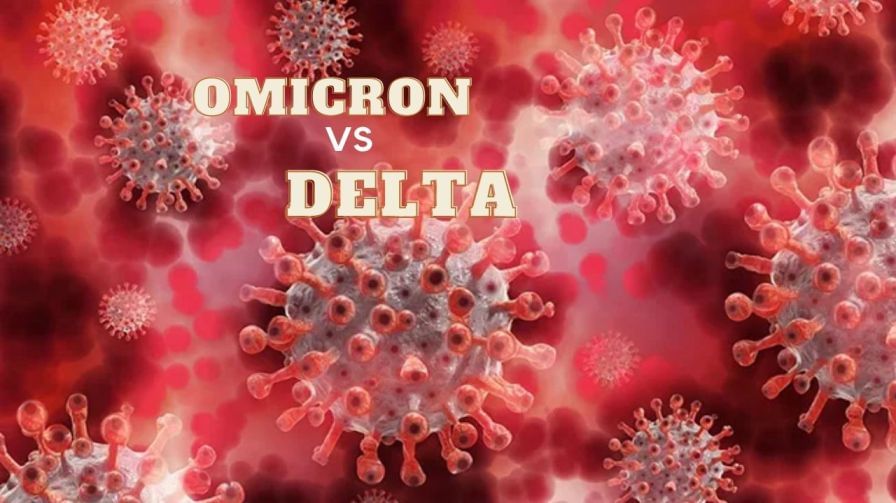 Omicron vs Delta Variant: డెల్టా కంటే డేంజర్.. ఎక్కువ ప్రమాదంలో ఉన్నది ఎవరు.. టీకా భరోసా ఎంతవరకు? పూర్తి వివరాలు మీకోసం..!