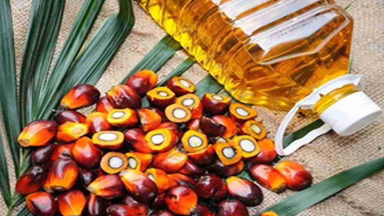 Refined Palm Oil: శుభవార్త చెప్పిన కేంద్ర ప్రభుత్వం.. తగ్గనున్న వంట నూనె ధరలు..